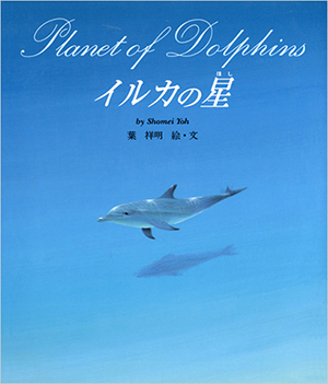 イルカの星 書影